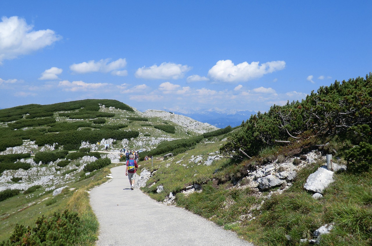 dachstein-krippenstein  salzkammergut  austria free photo