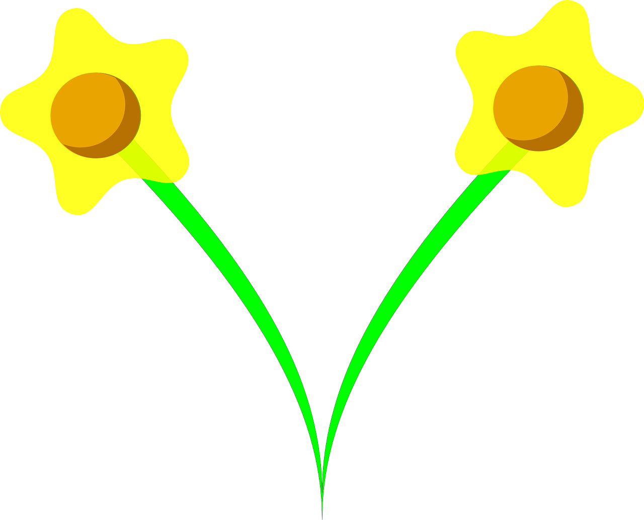 daffodil narcissus bulbous perennials free photo