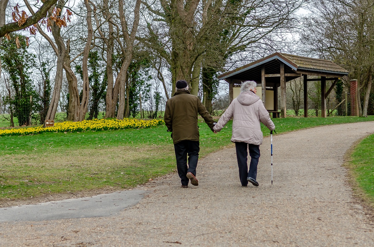 daffodil  spring  park free photo