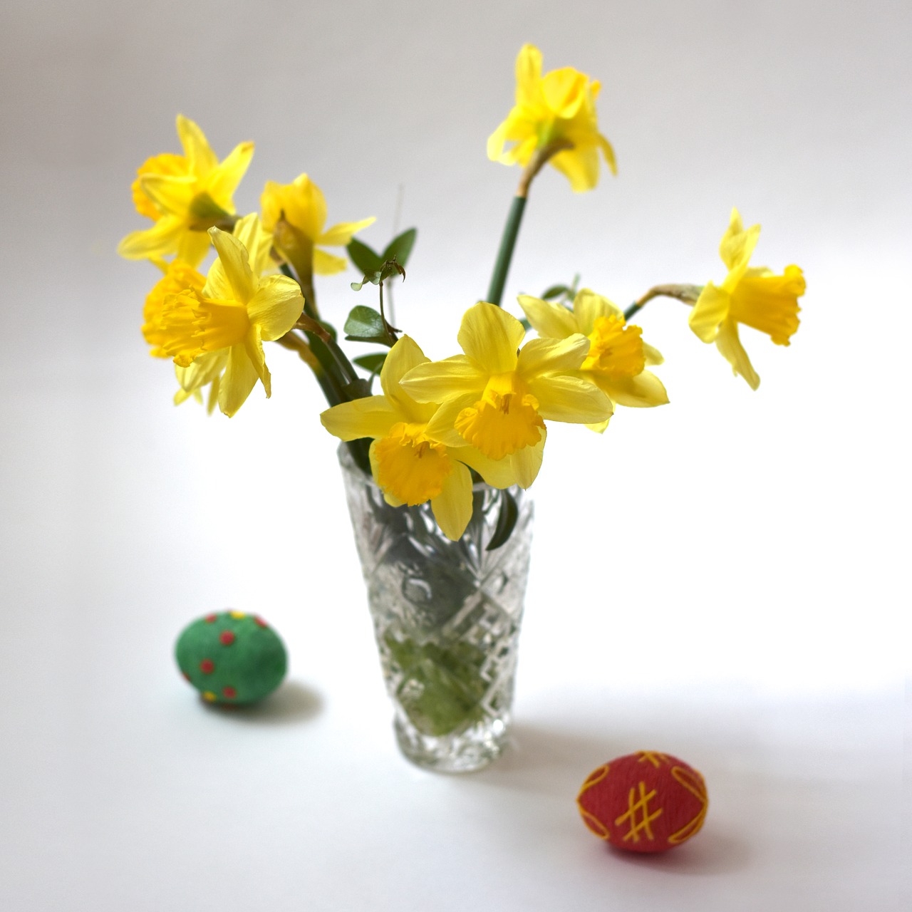 daffodils  daffodil  flower free photo
