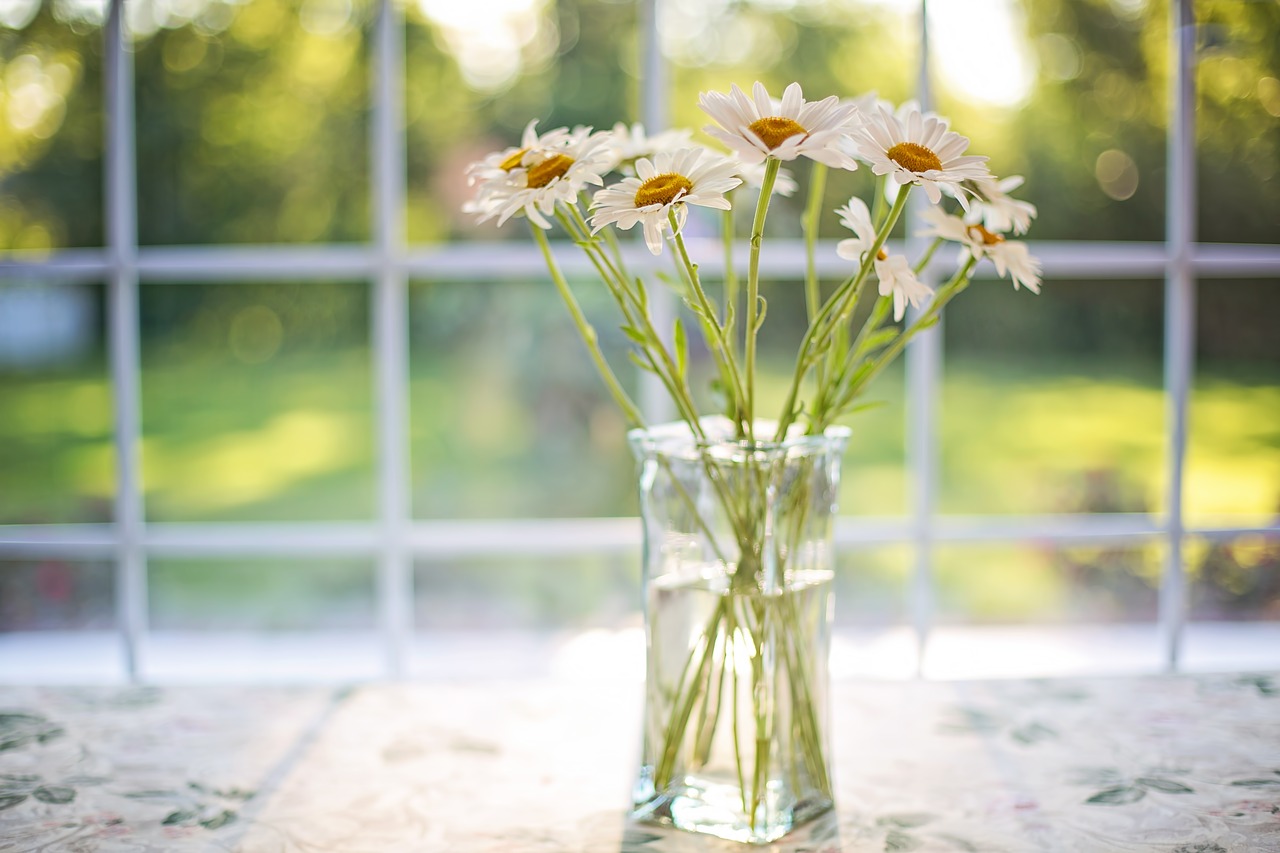 daisies vase window free photo