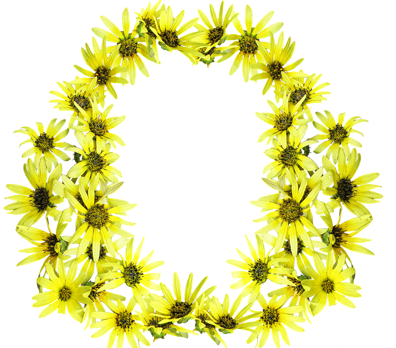 daisies yellow design frame free photo