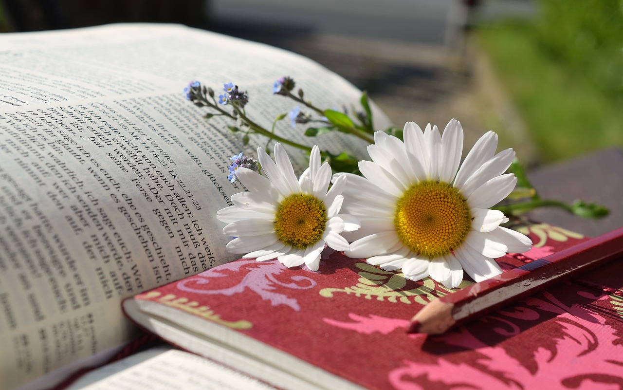 daisies book read free photo