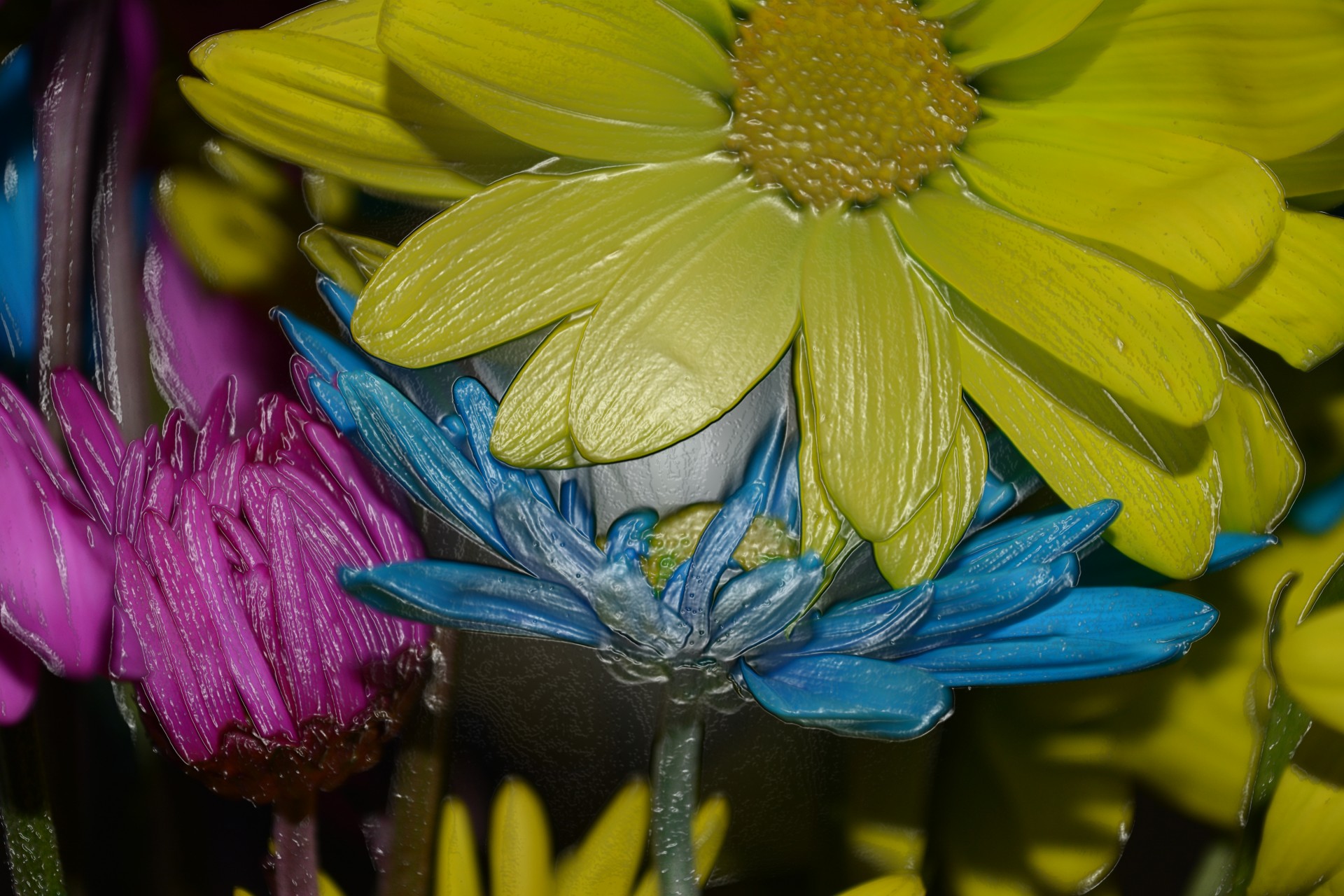 flowers background detail free photo