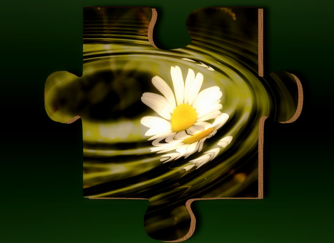 daisy puzzle flower free photo