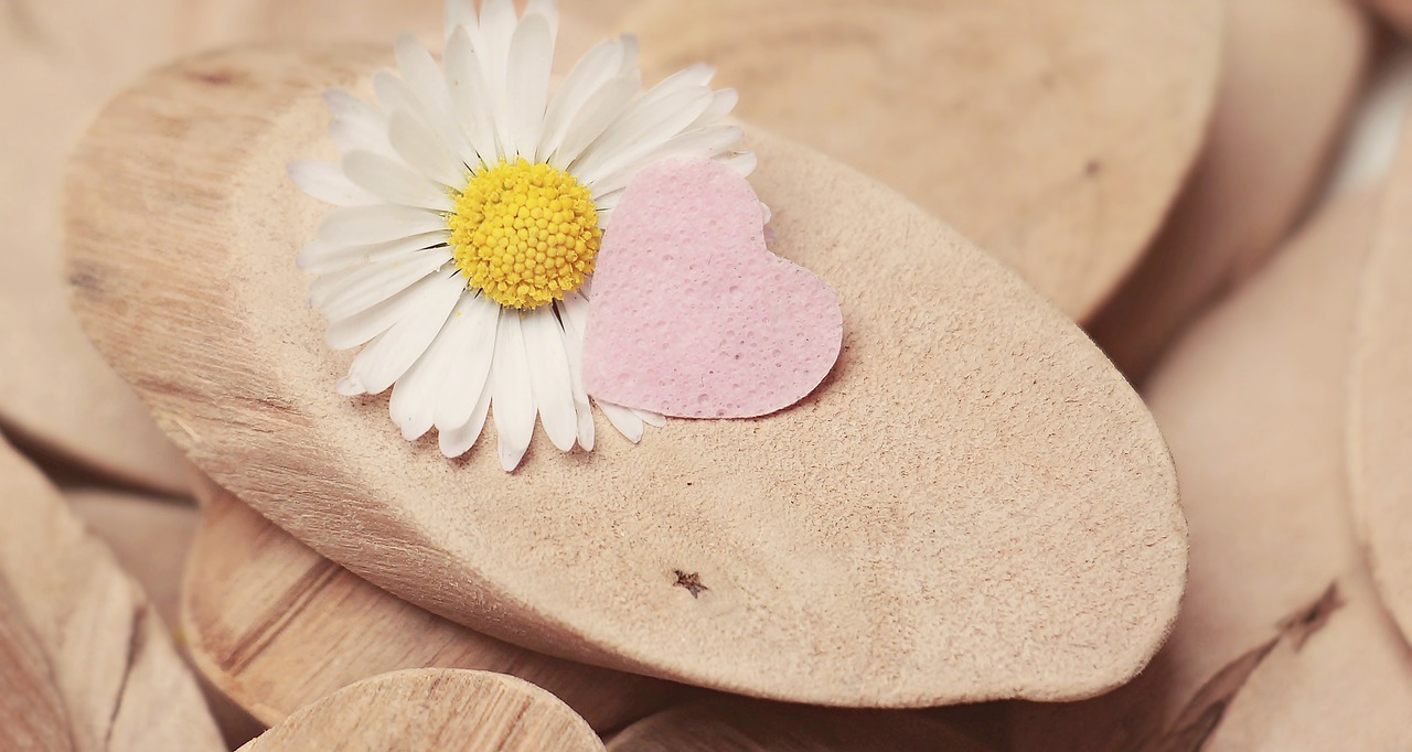 daisy heart herzchen free photo