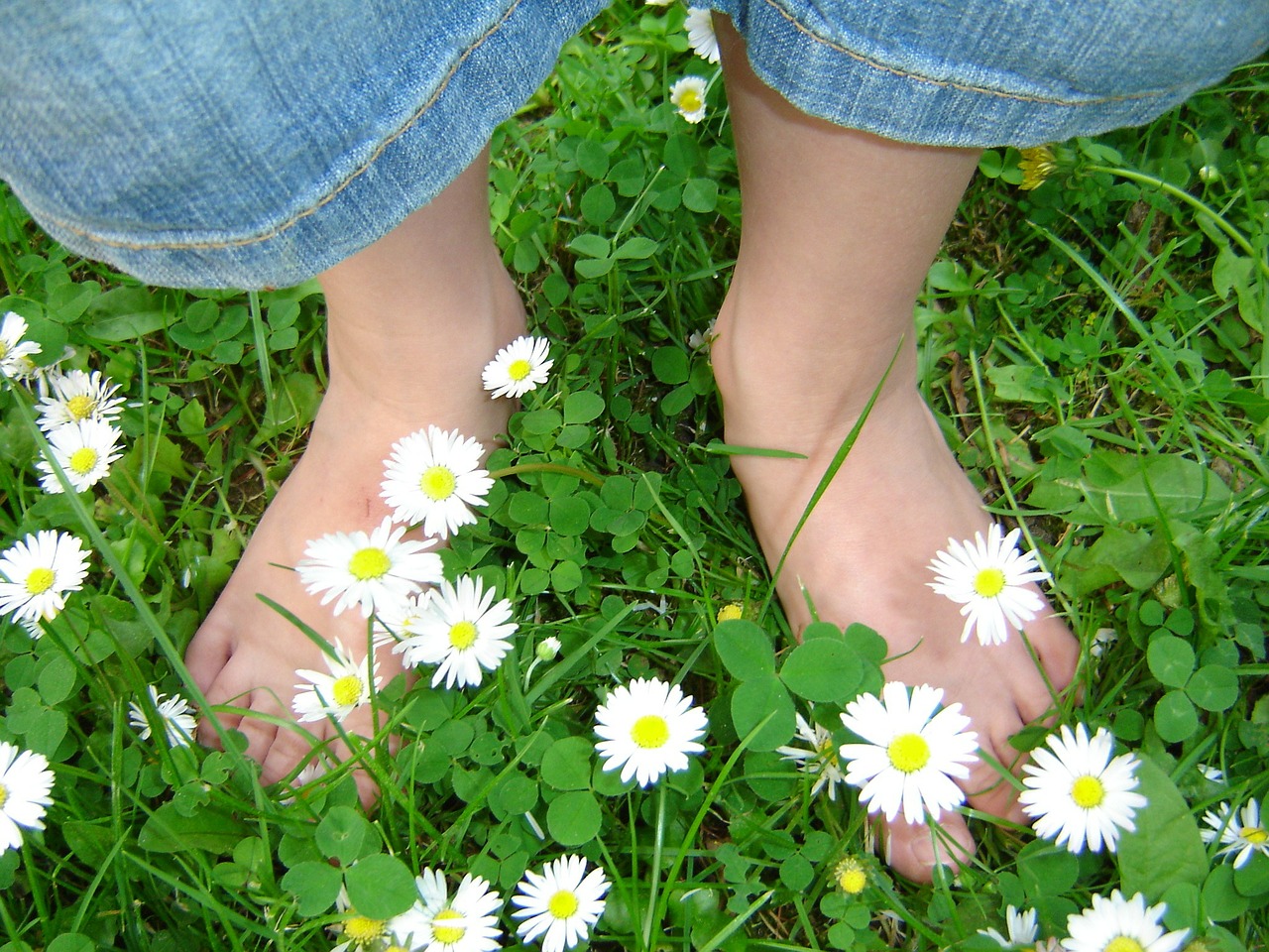 daisy children's feet meadow free photo