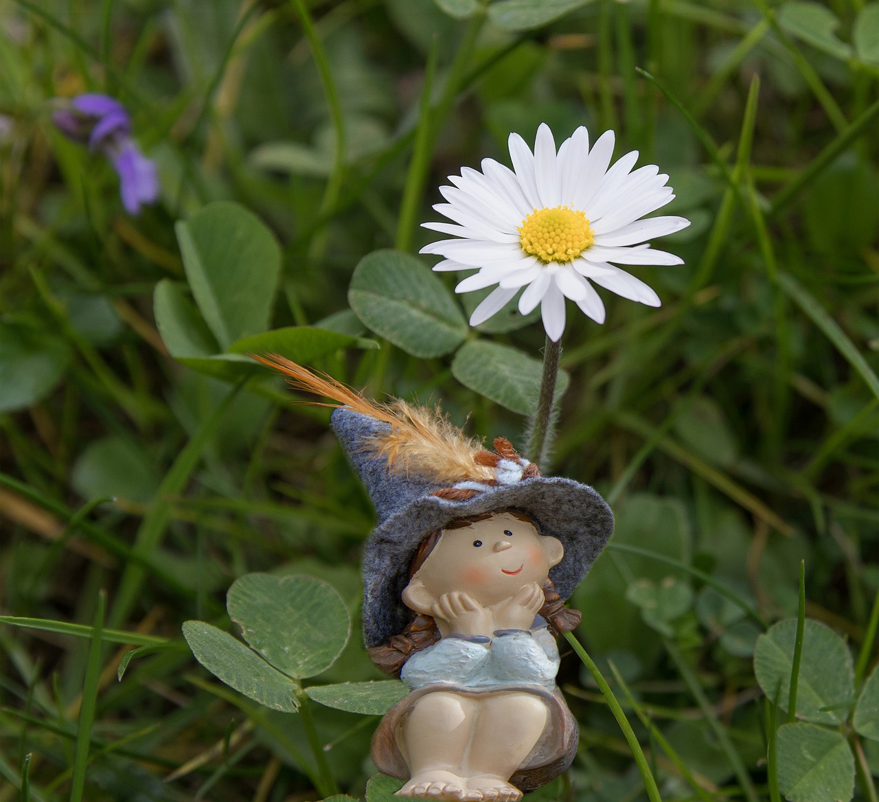 daisy  figure  spring free photo