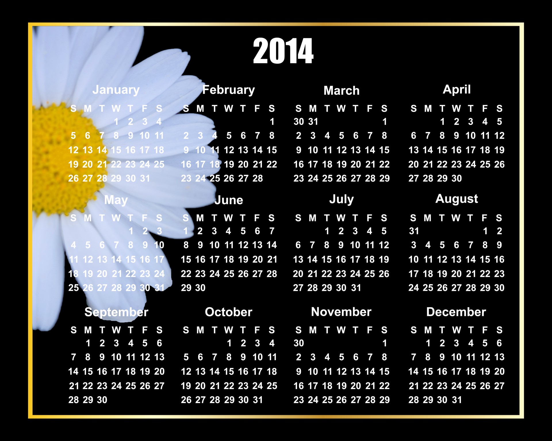flower 2014 calendar daisy free photo