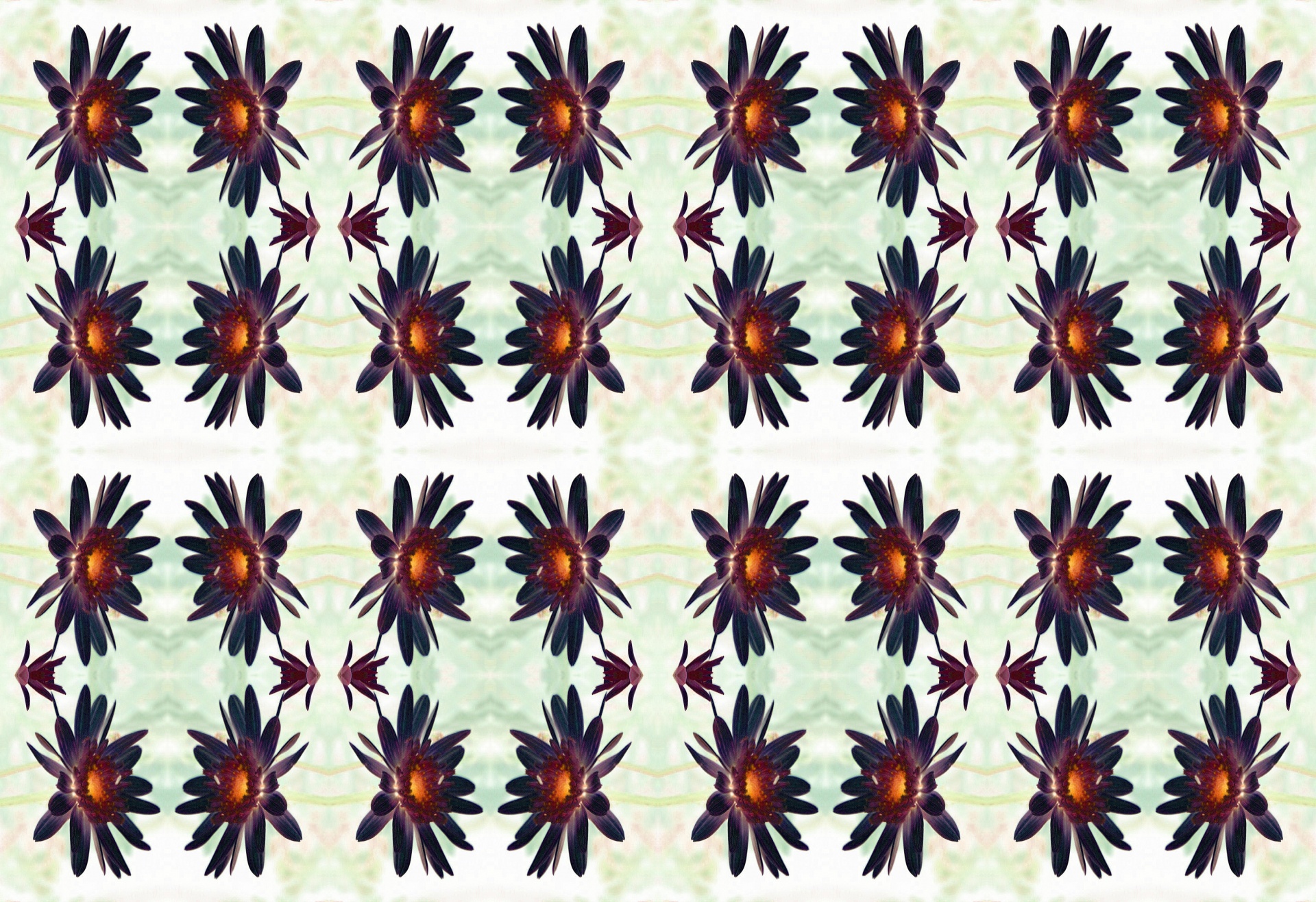 daisies pattern purple free photo
