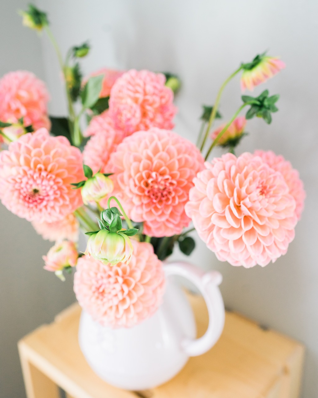 dalia flowers vase free photo