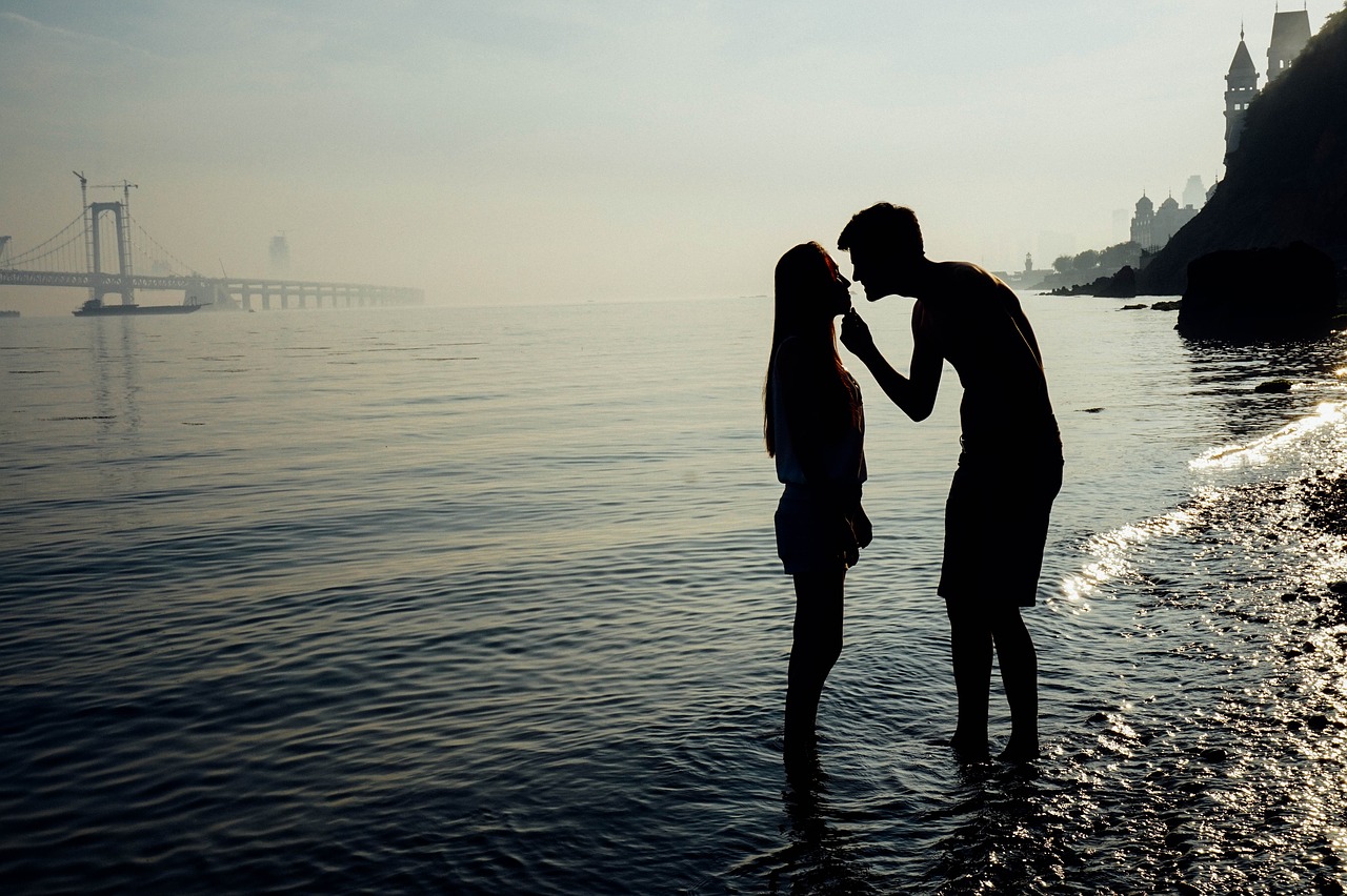 dalian couples silhouette free photo