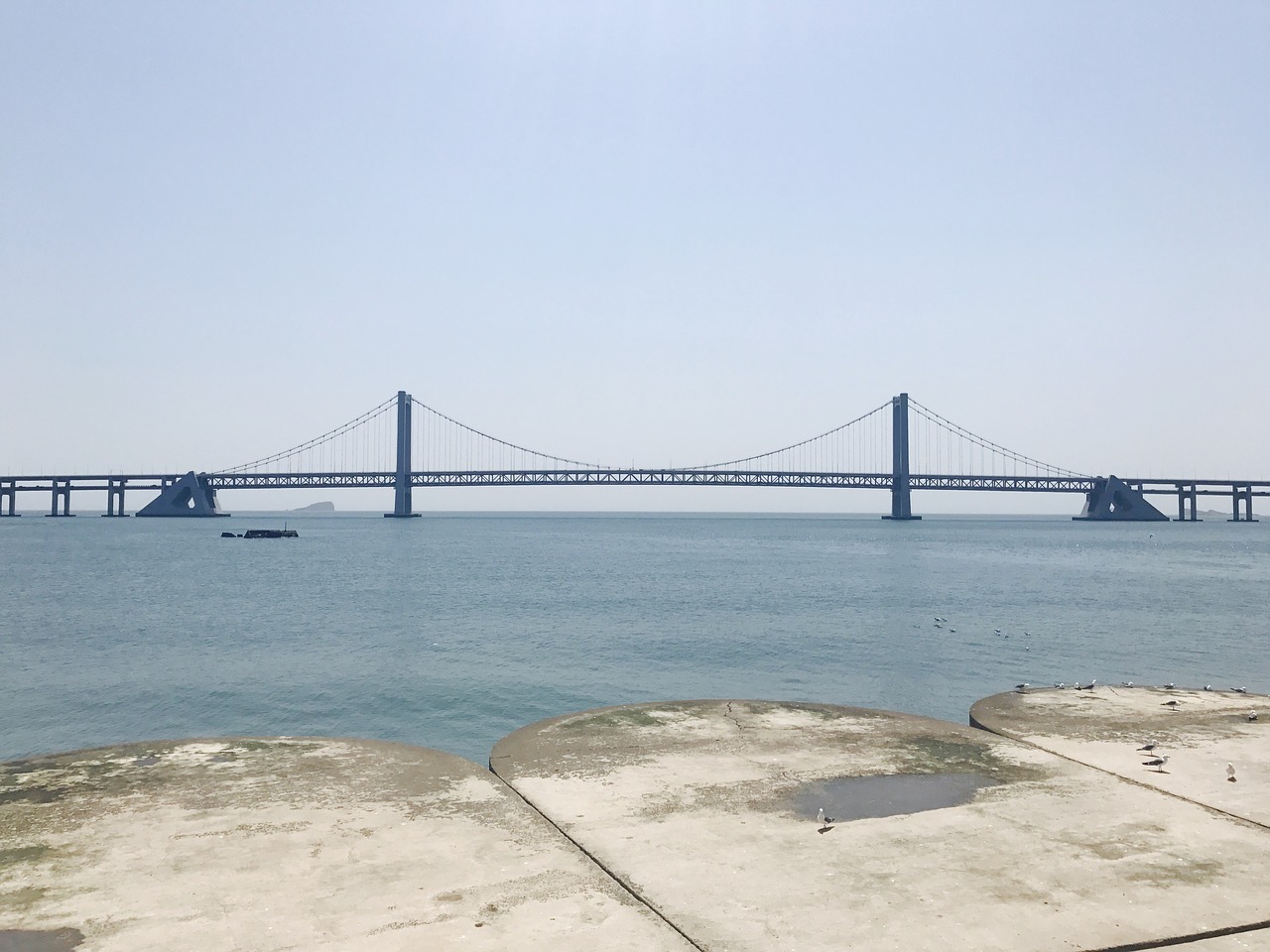 dalian the sea bridge free photo