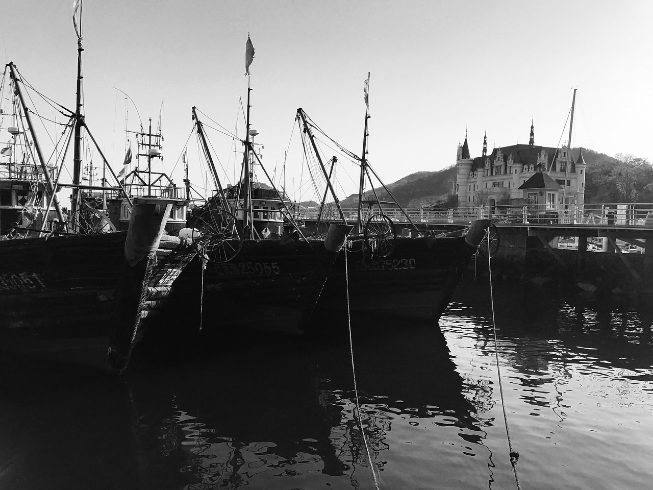 dalian fishing boats black and white free photo