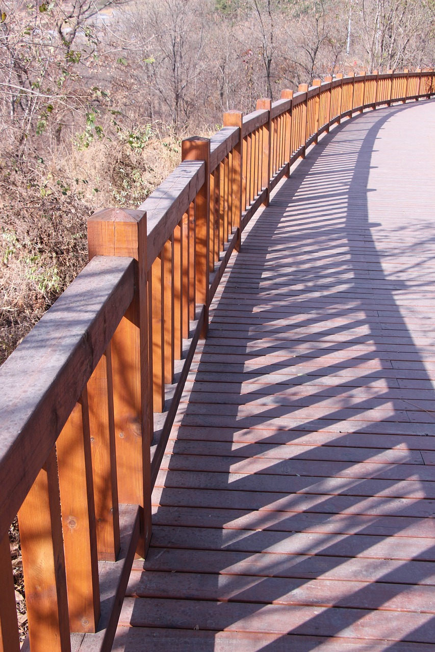 dalian west hill reservoir the boardwalk autumn on the outskirts free photo