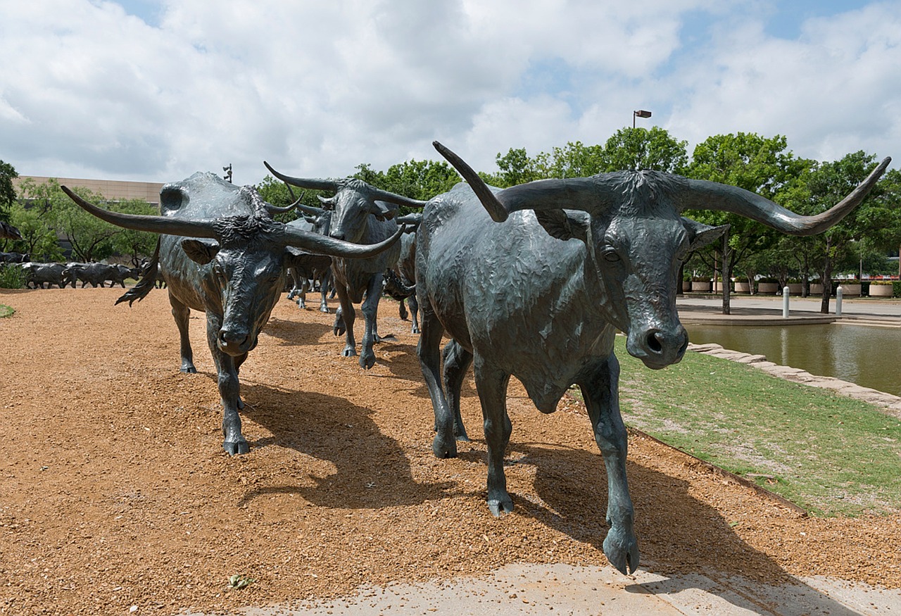 dallas texas bronze free photo