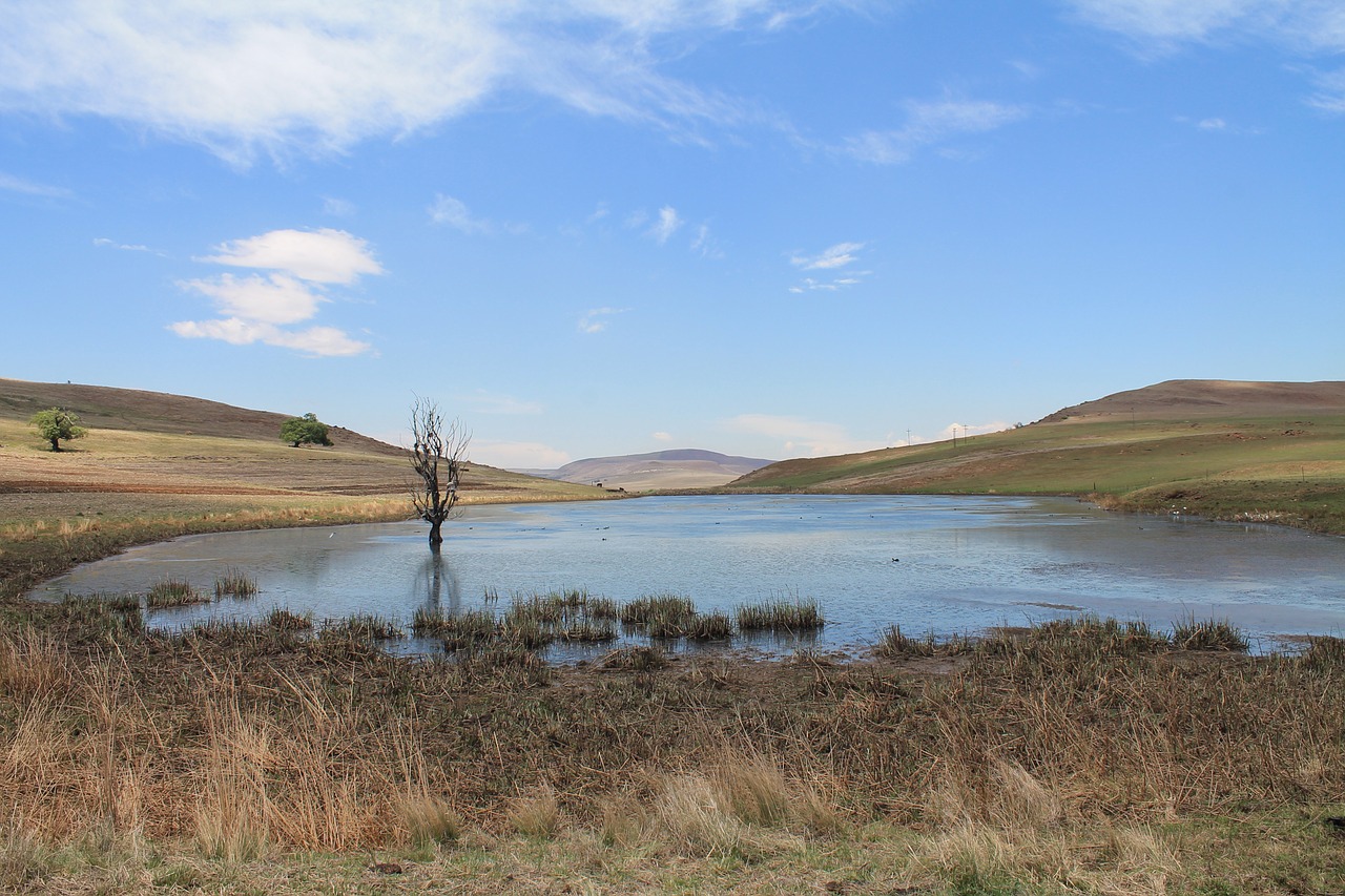 dam water landscape free photo