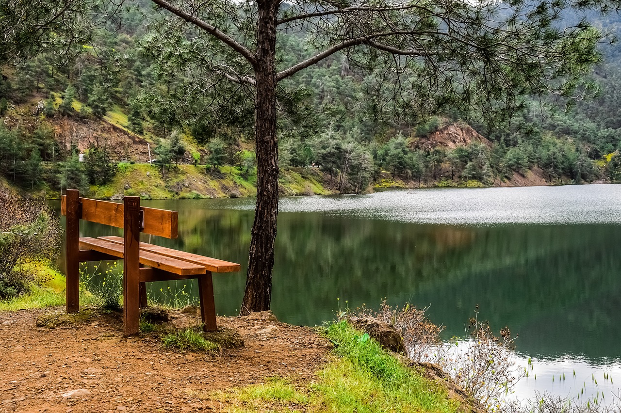 dam  lake  mountains free photo