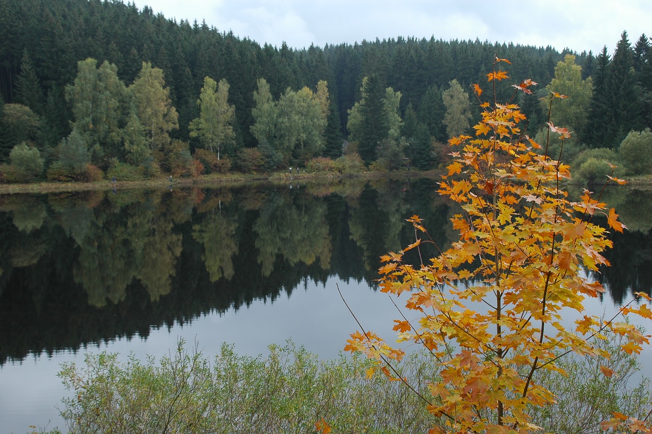 dam trogfurth bridge nature landscape free photo