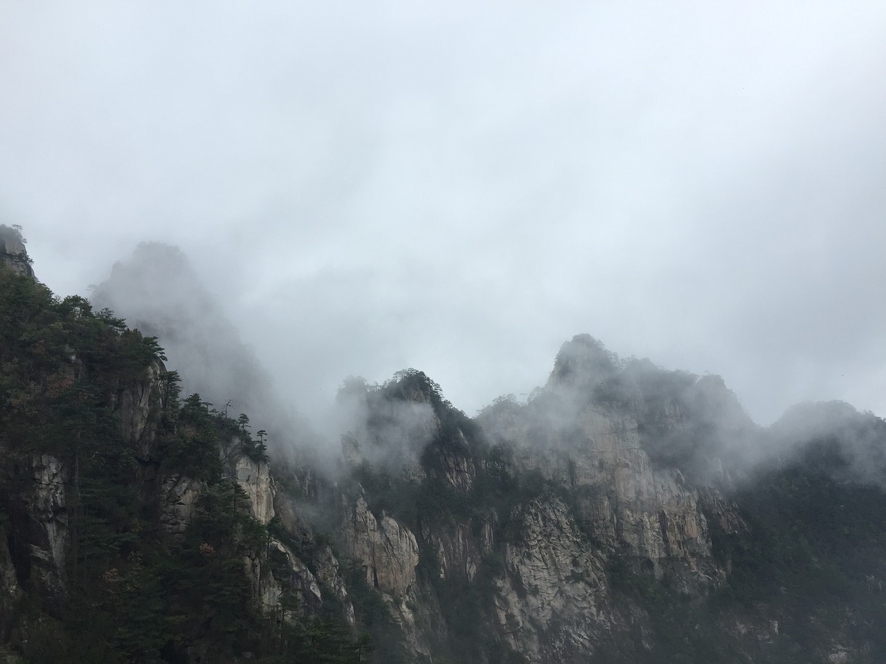 damingshan cloud western zhejiang free photo