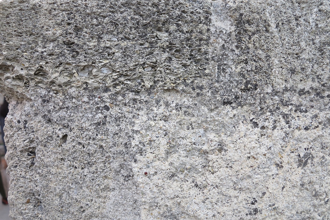 damme wall stone free photo