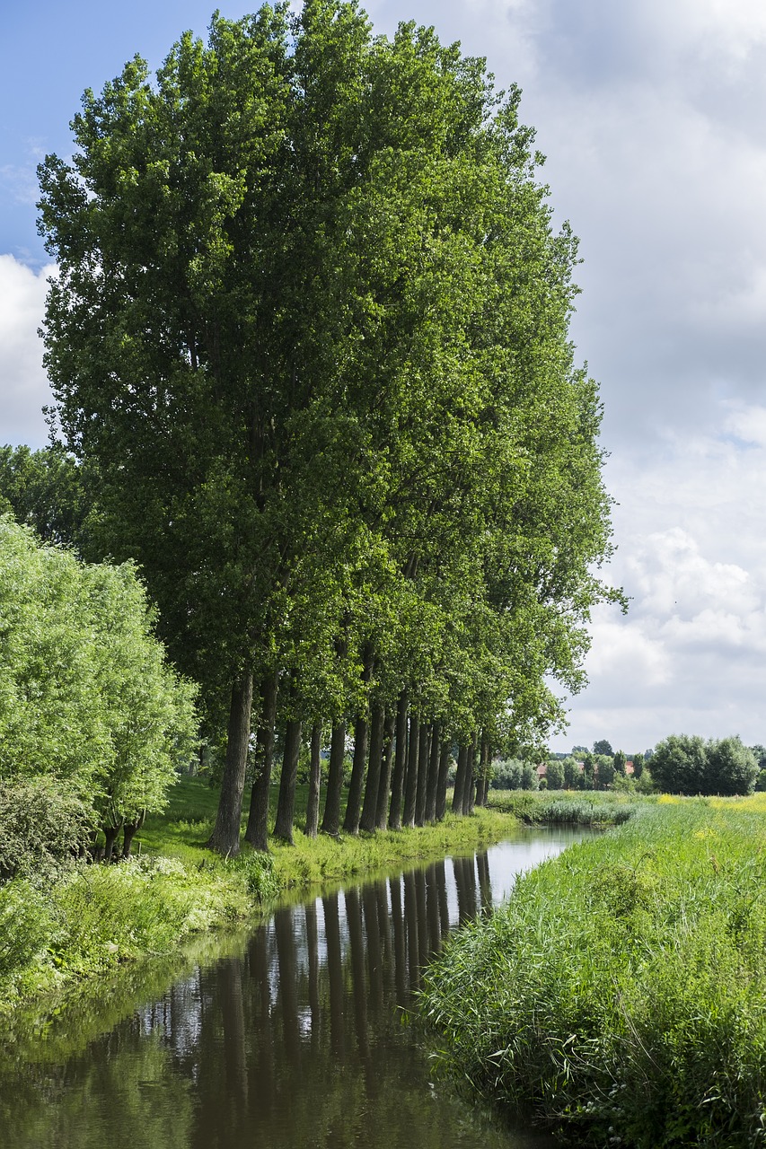 damme bruges channel light free photo