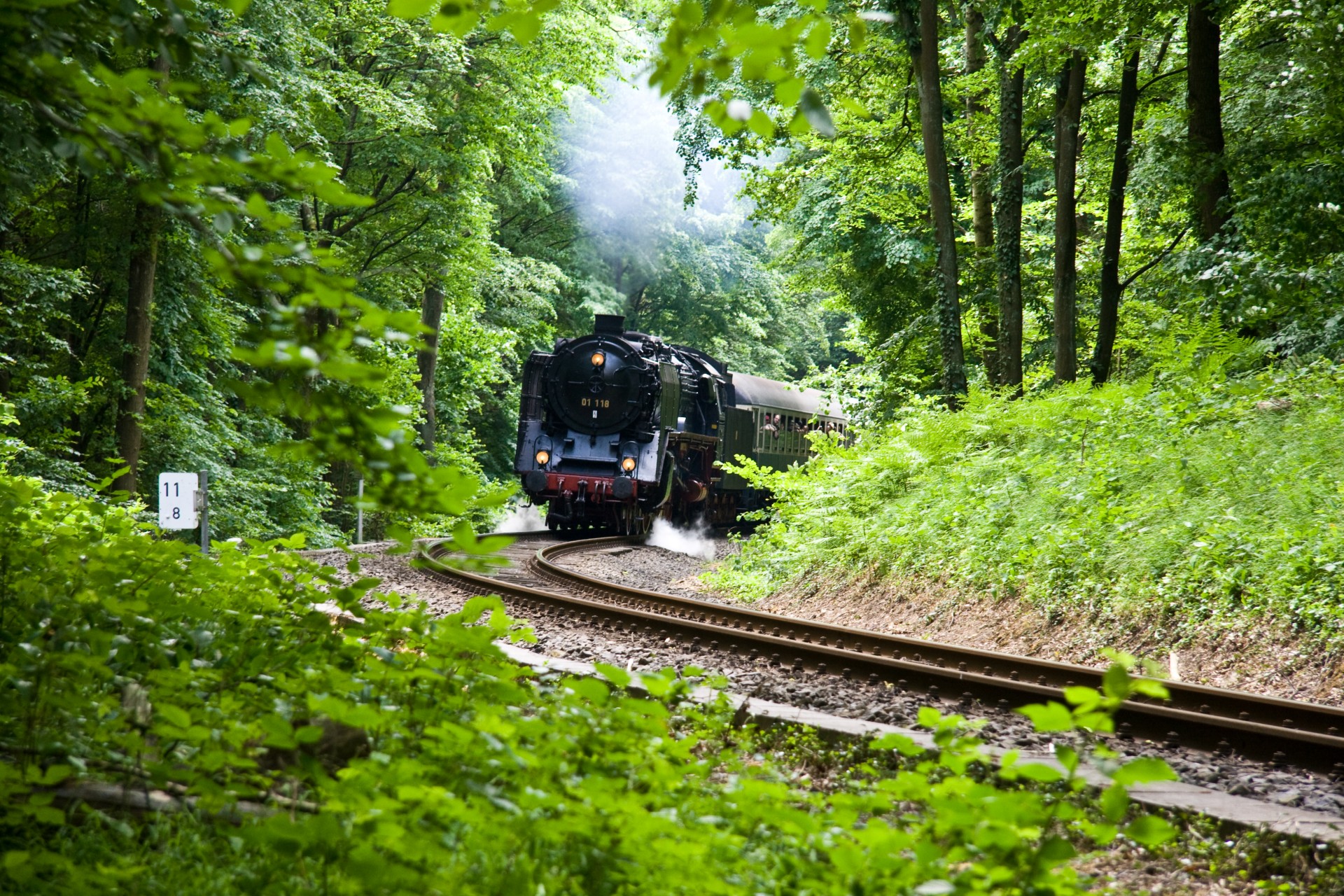 Steam train перевод на русский фото 37