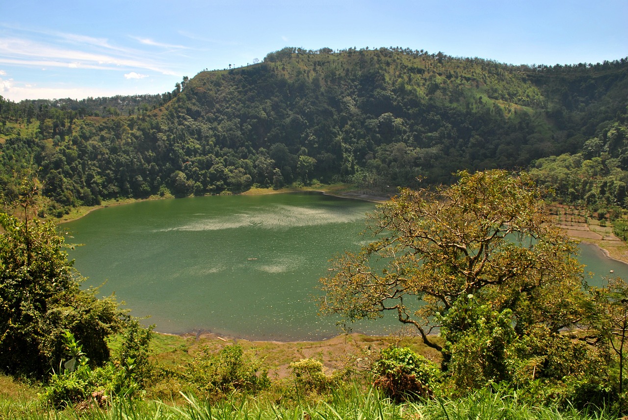 danau ranu bedali lumajang free photo