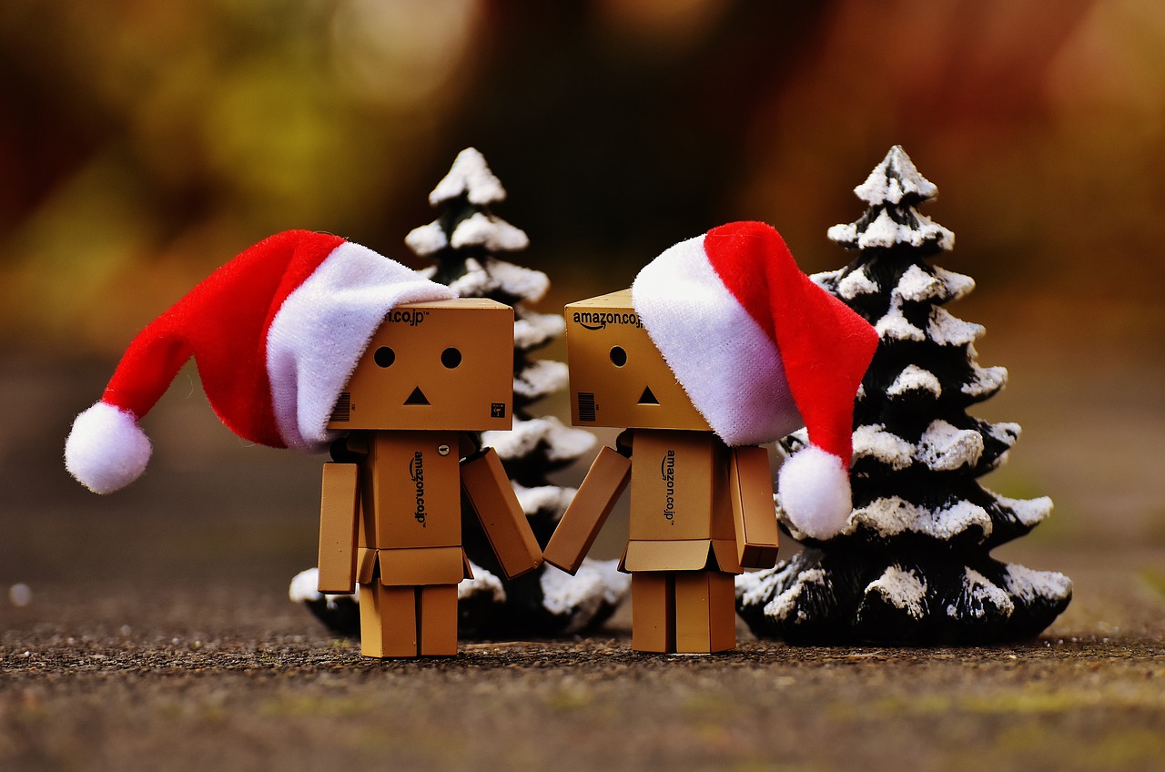 danbo christmas figure free photo