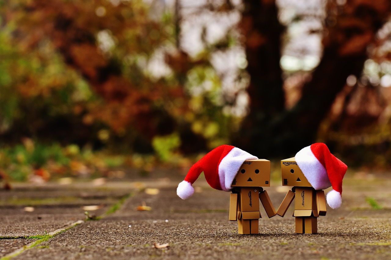 danbo christmas figure free photo