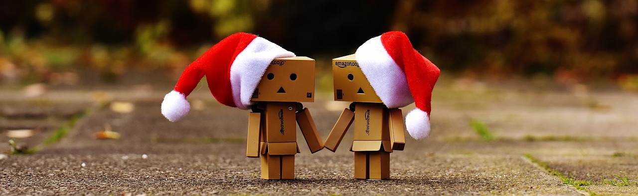 danbo christmas figure free photo