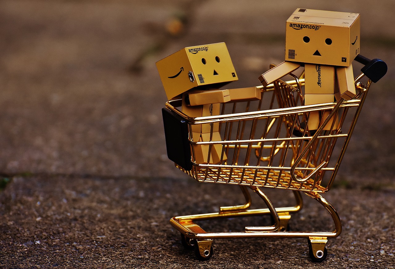 danbo figures shopping cart free photo