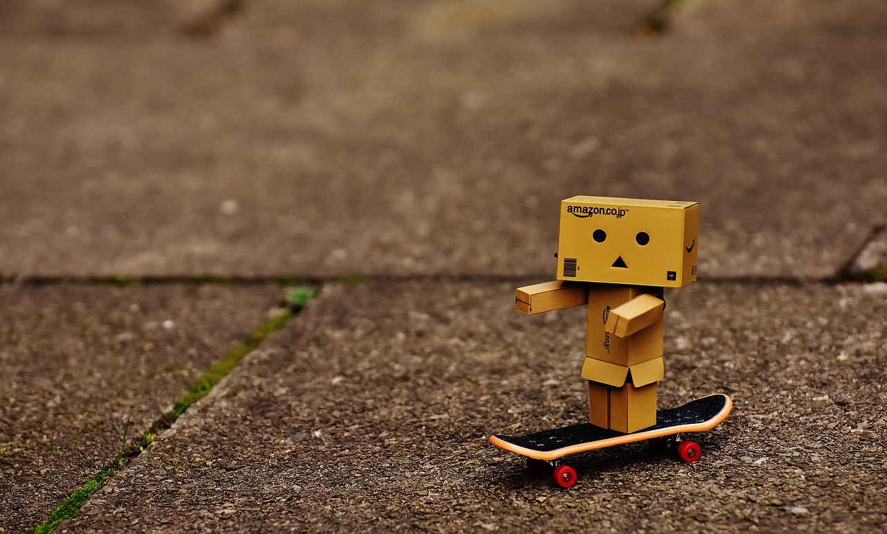 danbo skateboard drive free photo