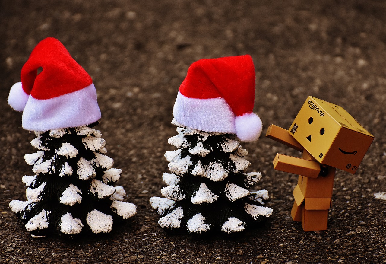 danbo christmas figure free photo