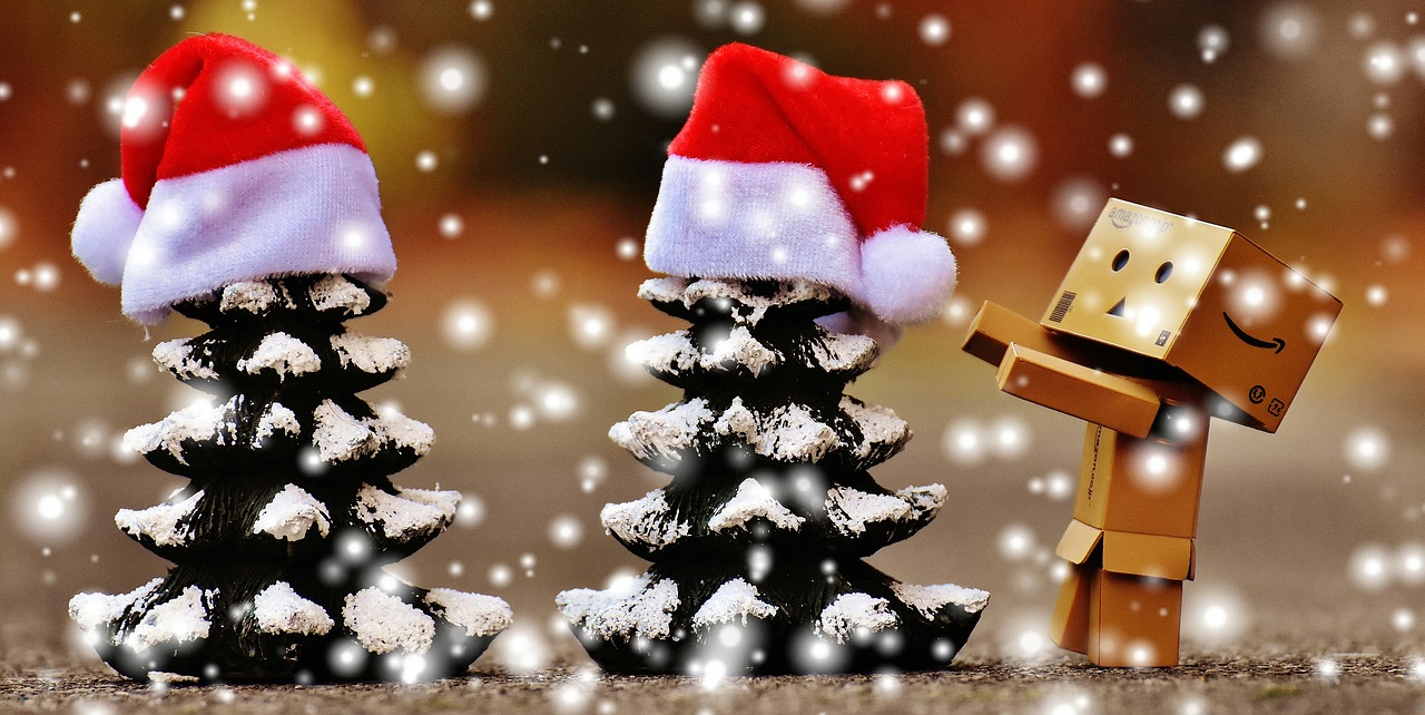 danbo christmas figure free photo