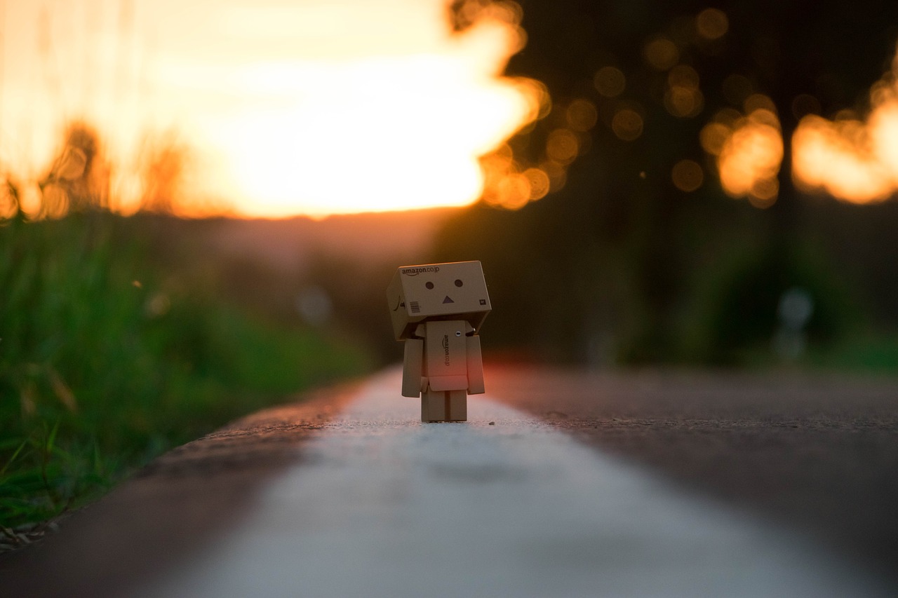 danbo sunset nature free photo