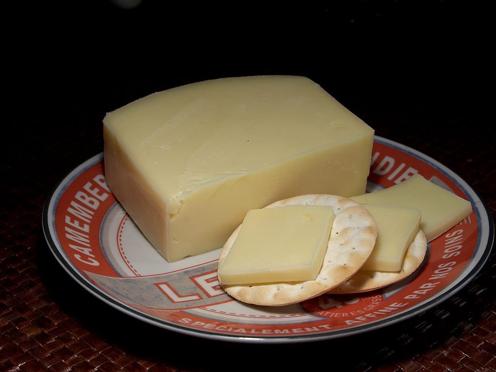 danbo cheese milk product food free photo