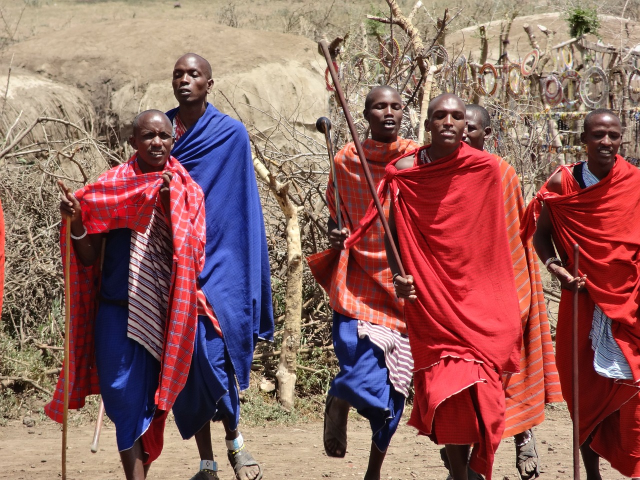 dances masai songs free photo