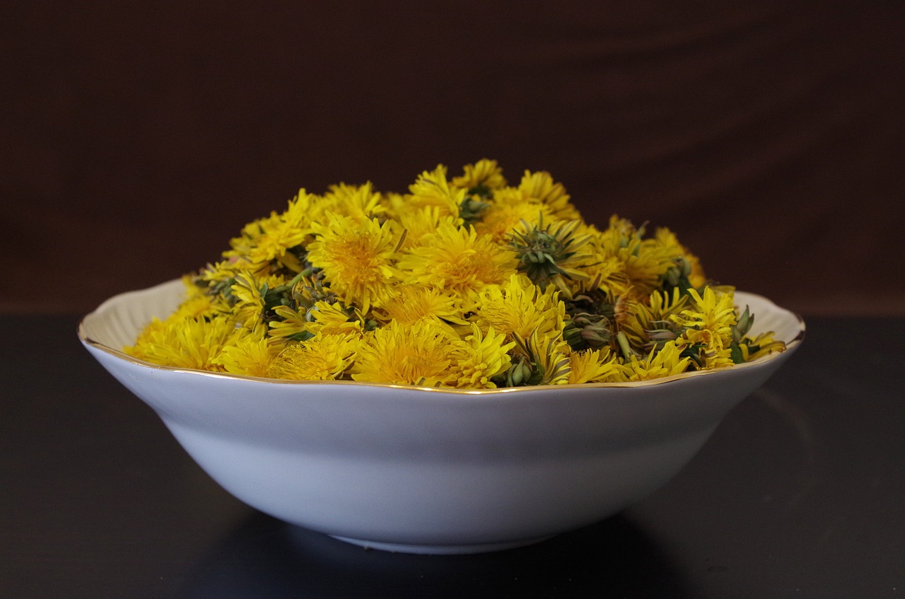 dandelion health salad free photo