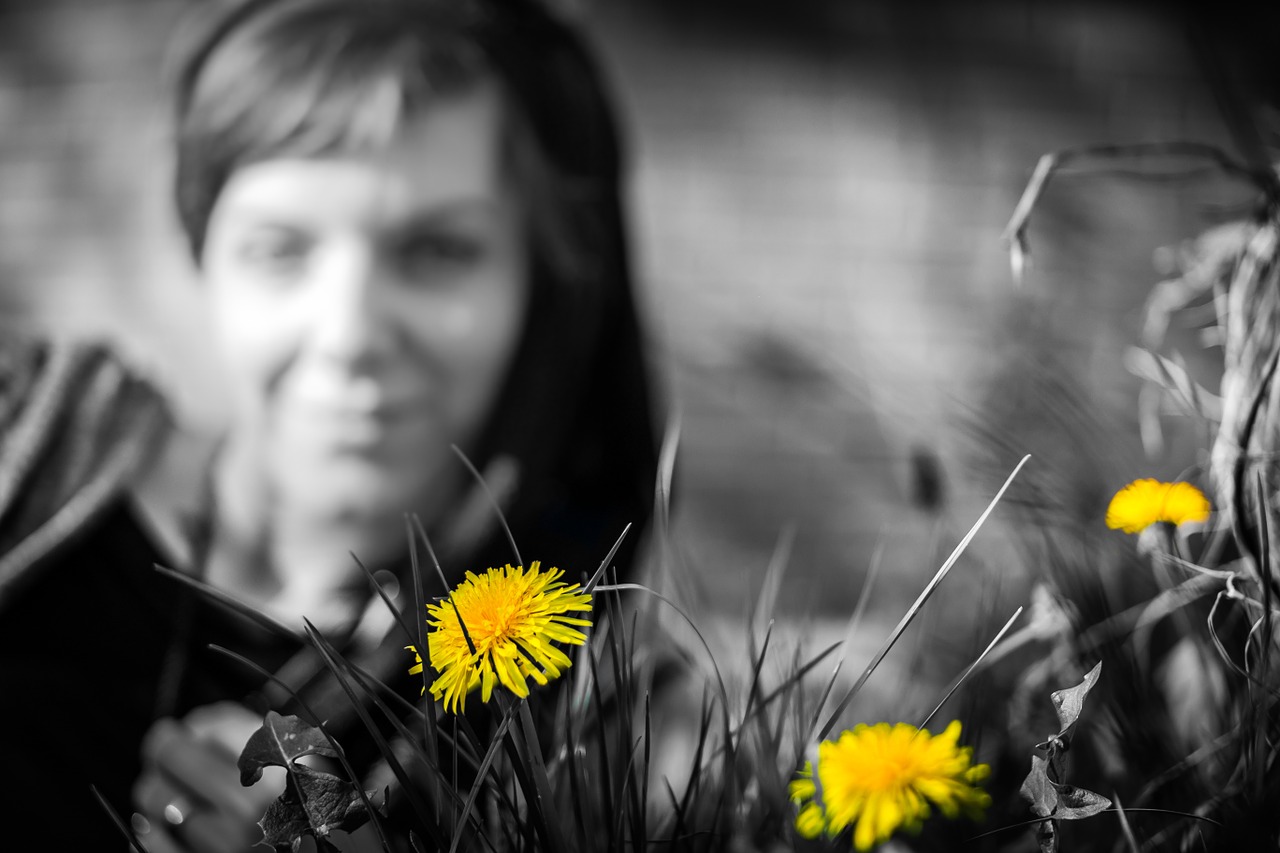 dandelion yellow woman free photo