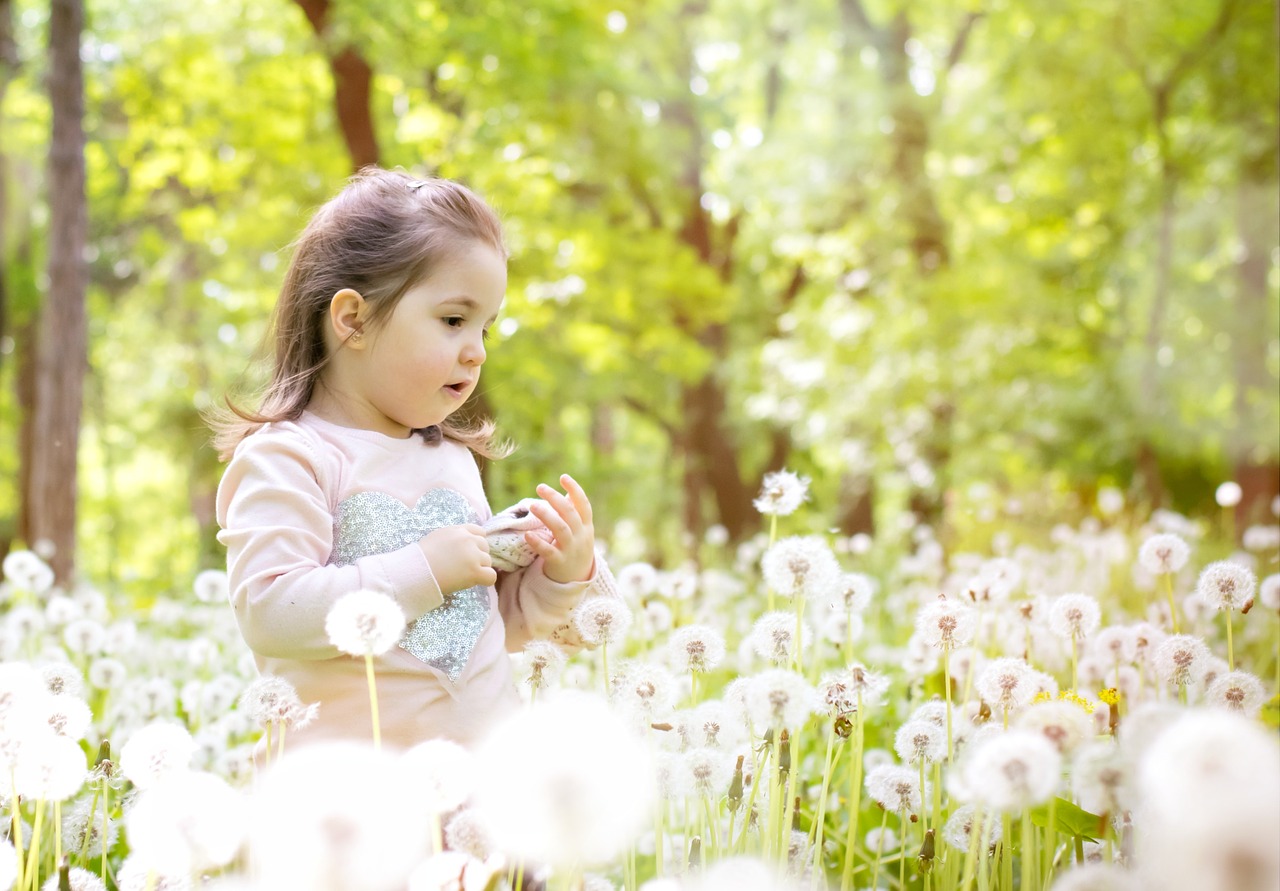 girl dandelion sun free photo