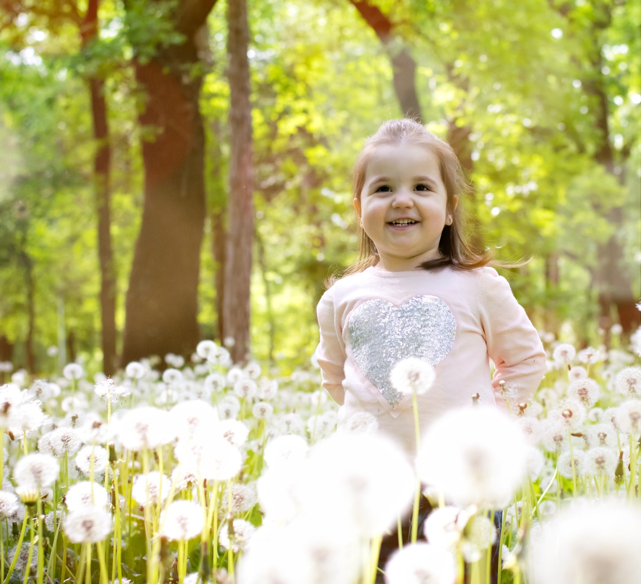 dandelion sun girl free photo