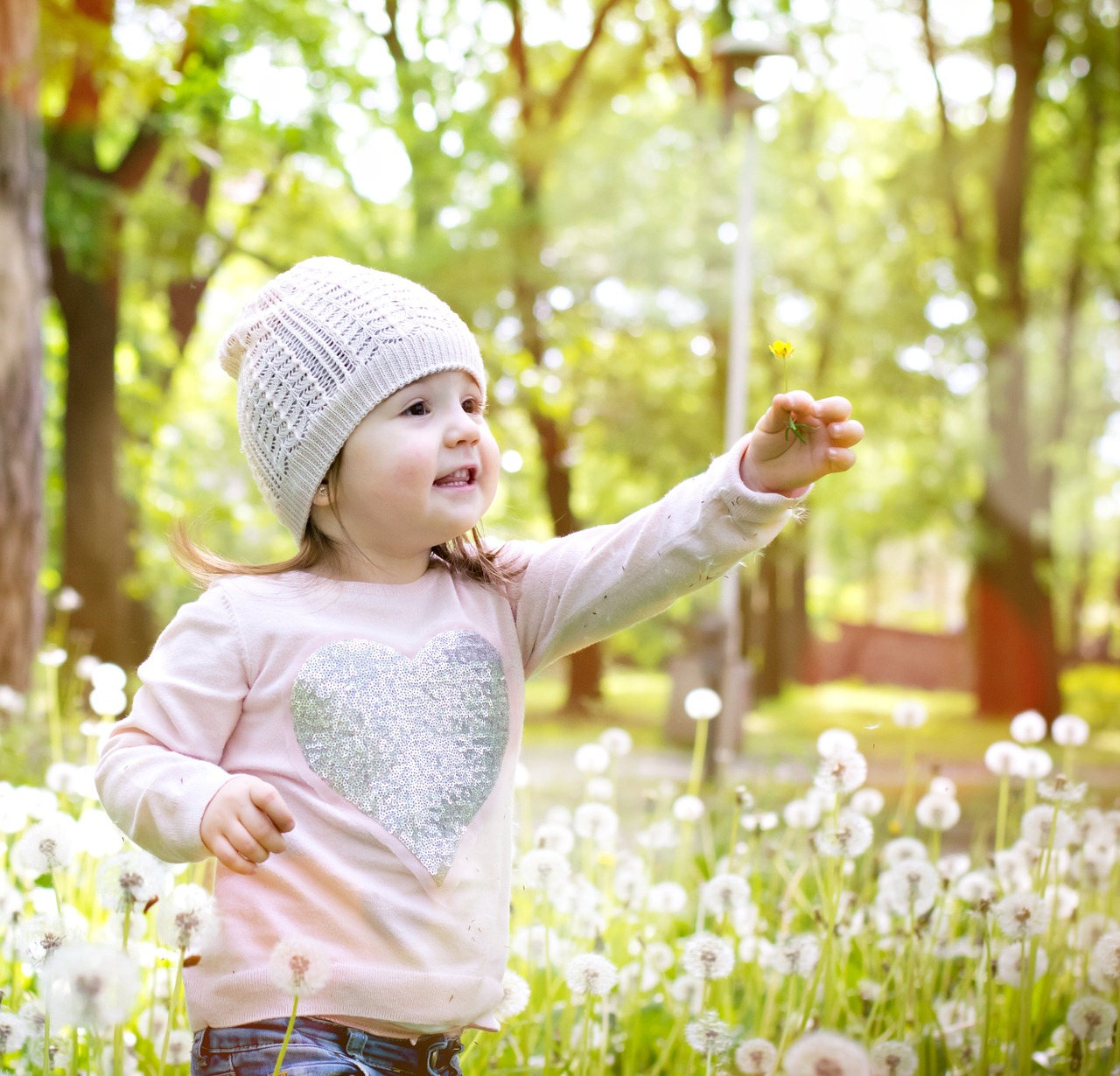 girl dandelion sun free photo