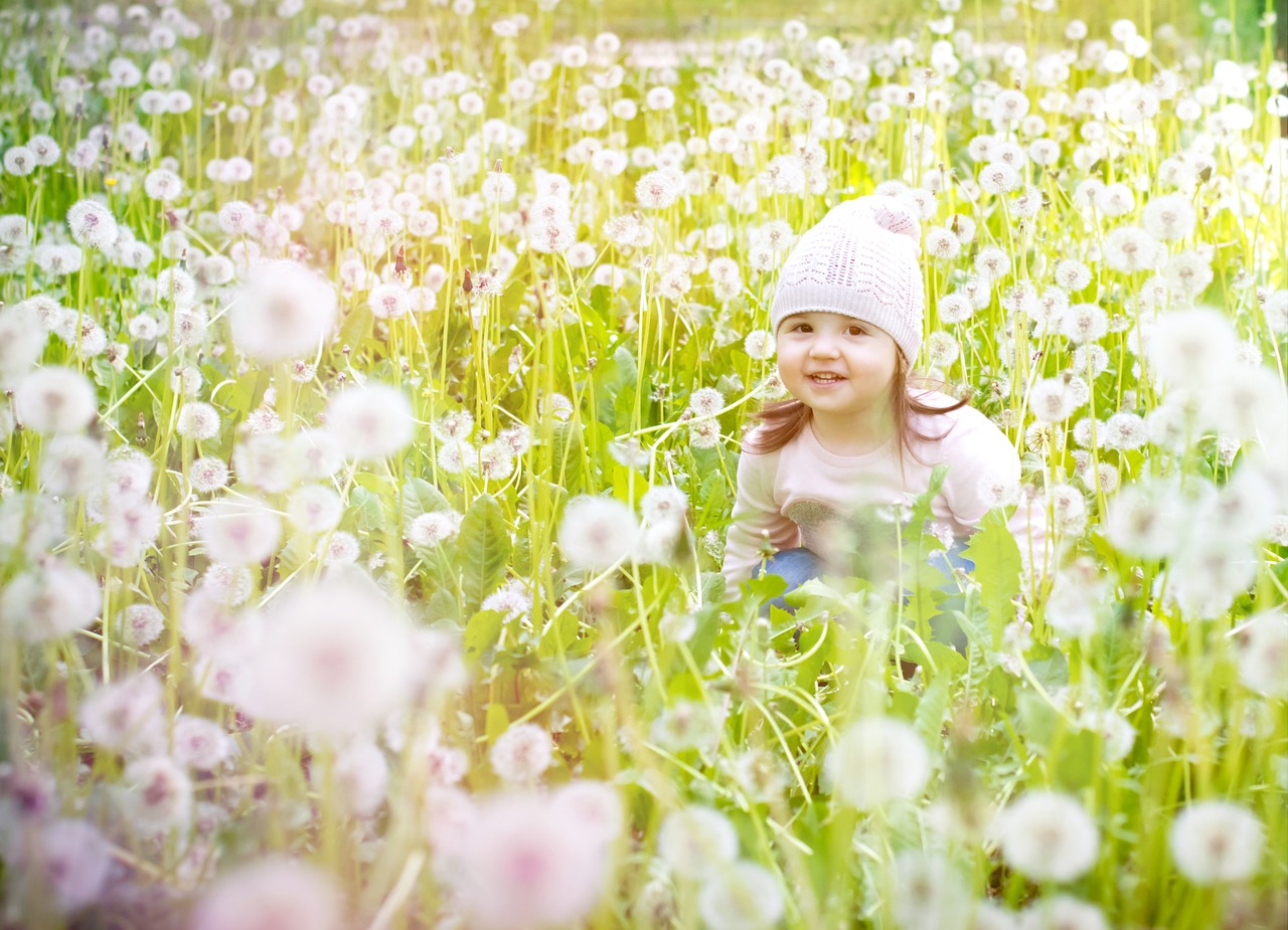 dandelion sun girl free photo