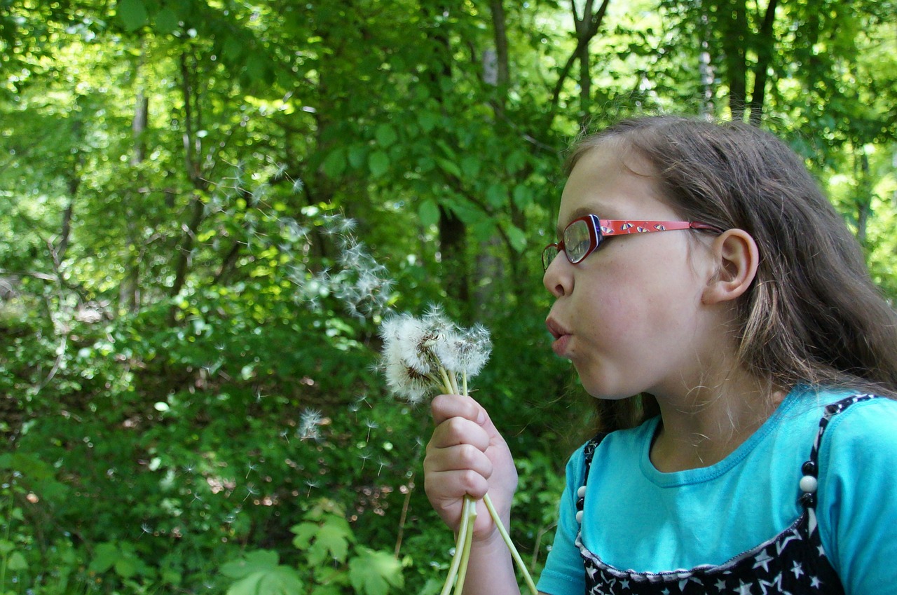 dandelion flower child free photo