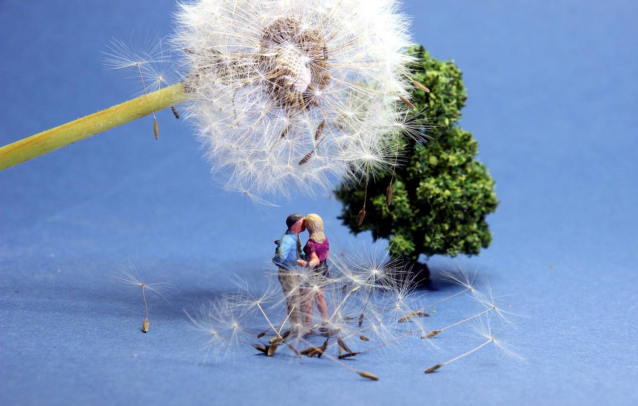 dandelion  lovers  miniature figures free photo