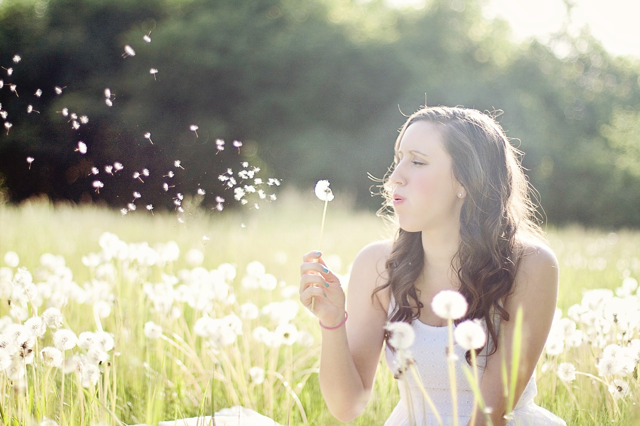dandelions woman blowing free photo