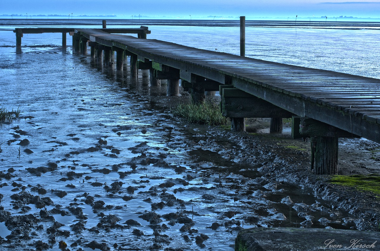 dangast web north sea free photo