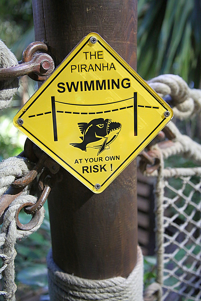 danger poster piranna free photo