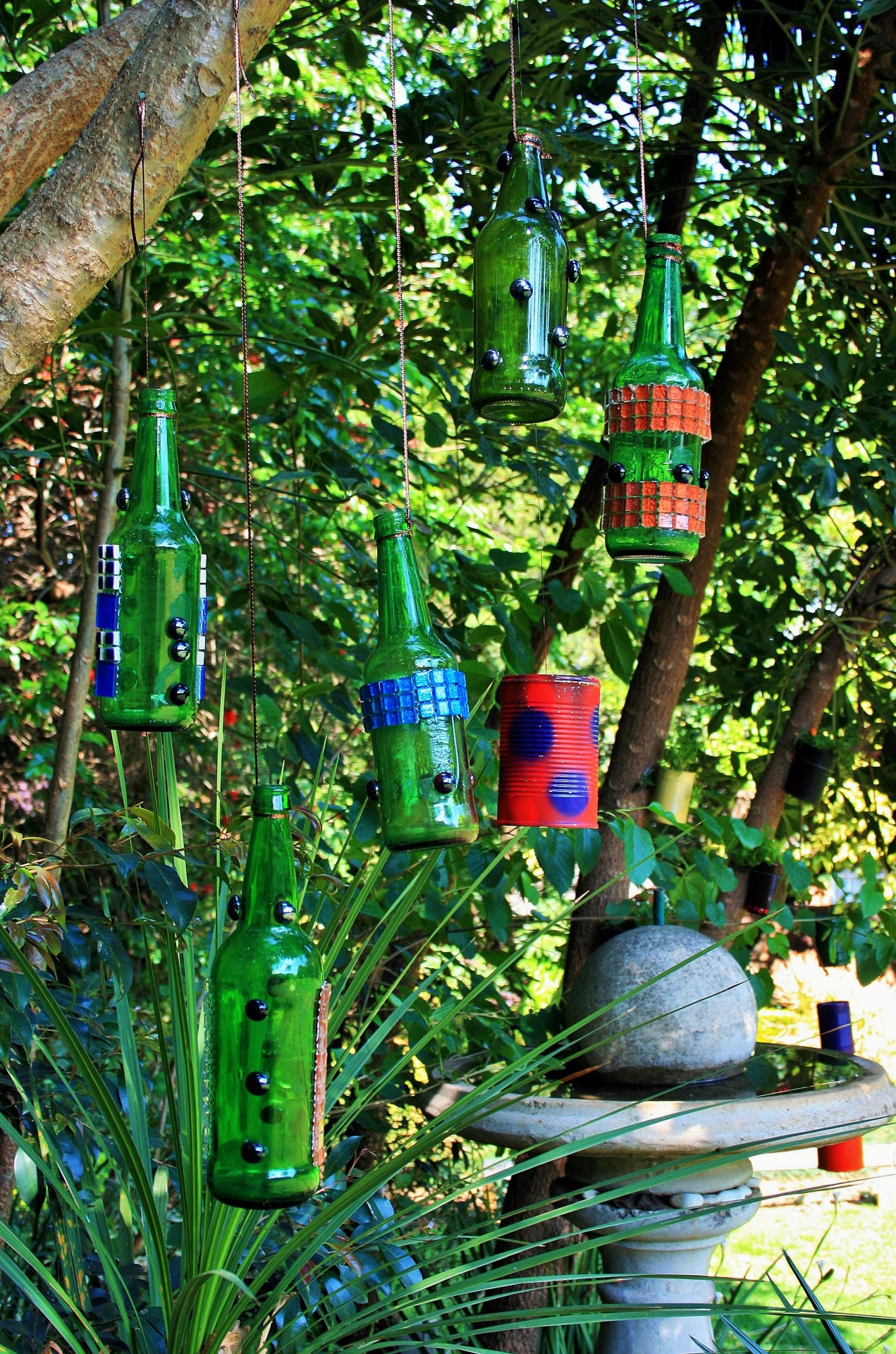 trees bottles green free photo